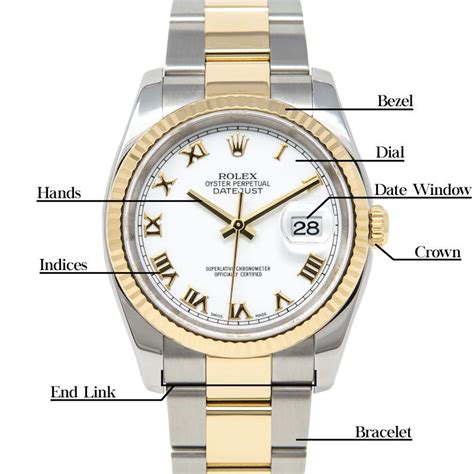 rolex datejust diagram|Rolex Datejust model numbers.